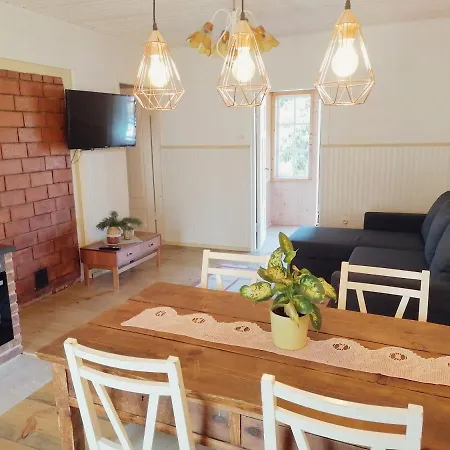 Retrovisiit Meida Palade