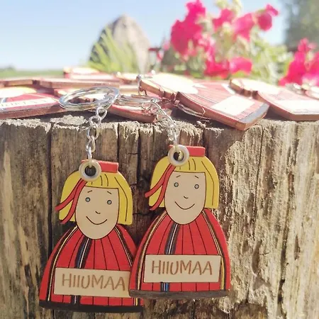 Retrovisiit Meida Vakantiehuis Palade