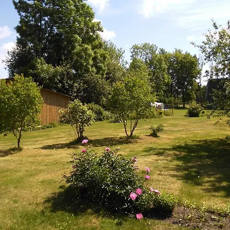 Retrovisiit Meida Palade