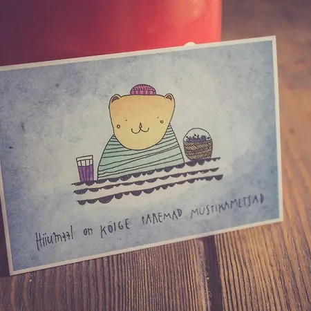 Retrovisiit Meida Palade