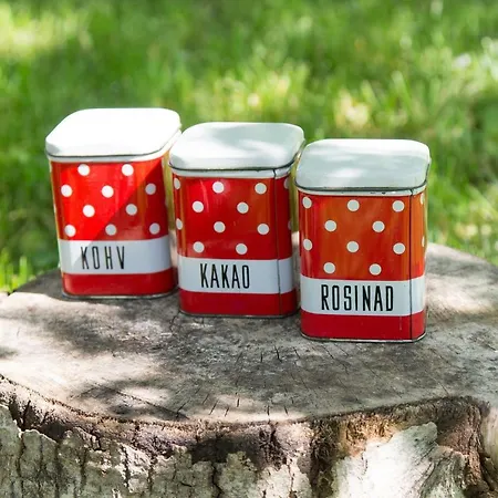 Retrovisiit Meida Vakantiehuis Palade