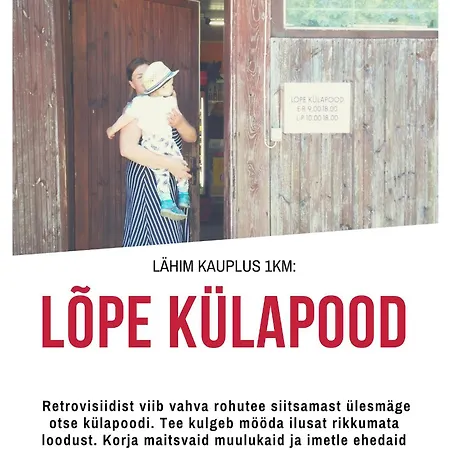 Retrovisiit Meida * Palade