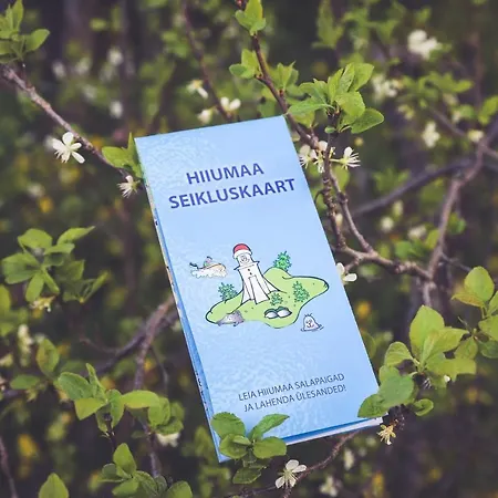 Retrovisiit Meida Vakantiehuis