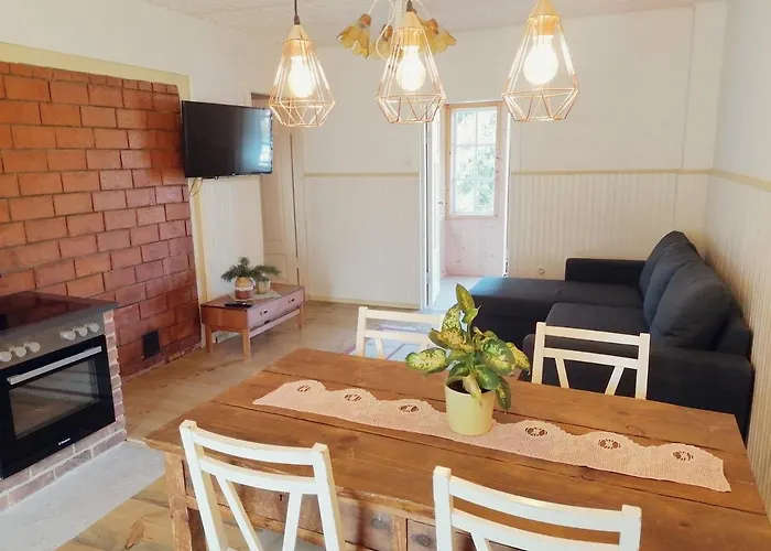 Retrovisiit Meida Palade