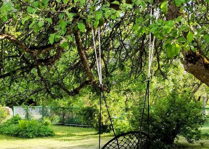 Retrovisiit Meida * Palade