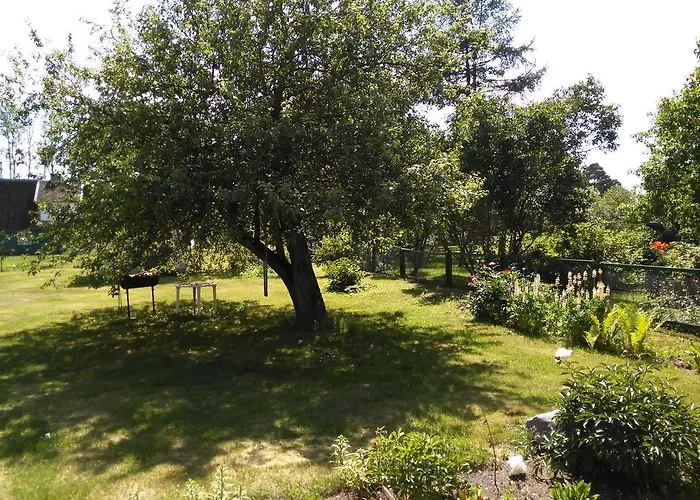 Retrovisiit Meida * Palade