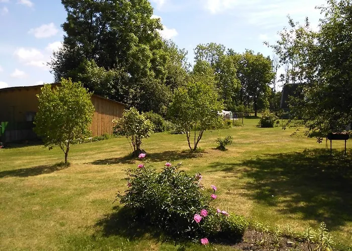 Retrovisiit Meida Palade