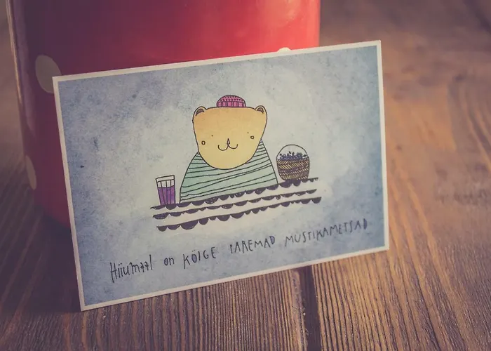 Retrovisiit Meida Palade