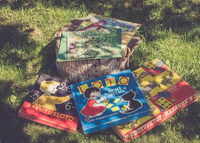 Vakantiehuis Retrovisiit Meida Palade