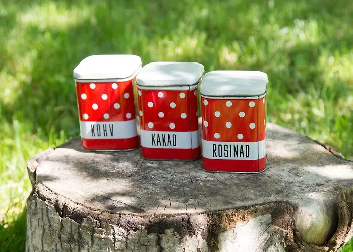 Retrovisiit Meida Vakantiehuis Palade