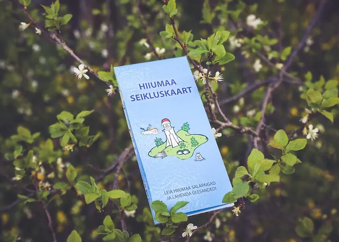 Retrovisiit Meida Vakantiehuis